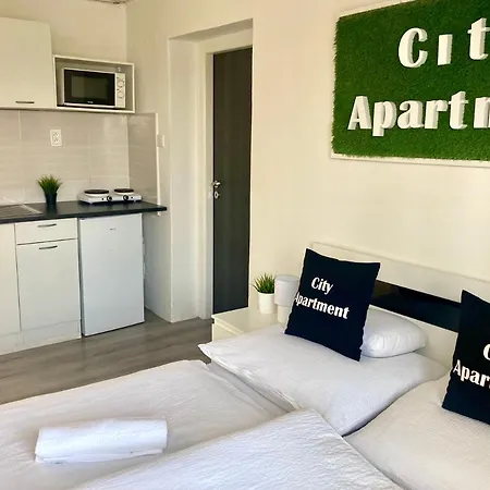 City Apartment Apartment *