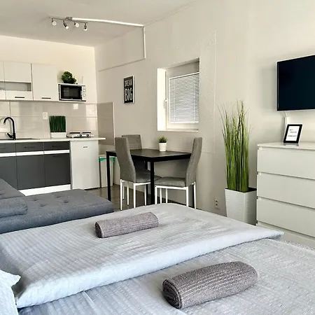 شقة City Apartment